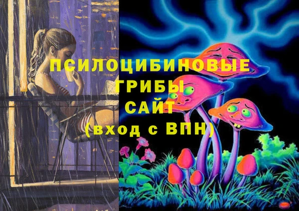 mdpv Новокубанск