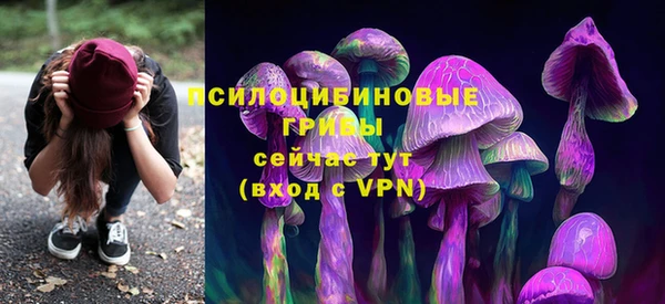 ALPHA PVP Нязепетровск